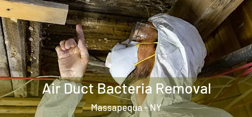  Air Duct Bacteria Removal Massapequa - NY
