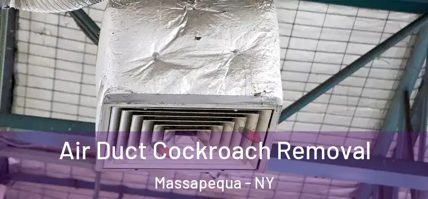  Air Duct Cockroach Removal Massapequa - NY