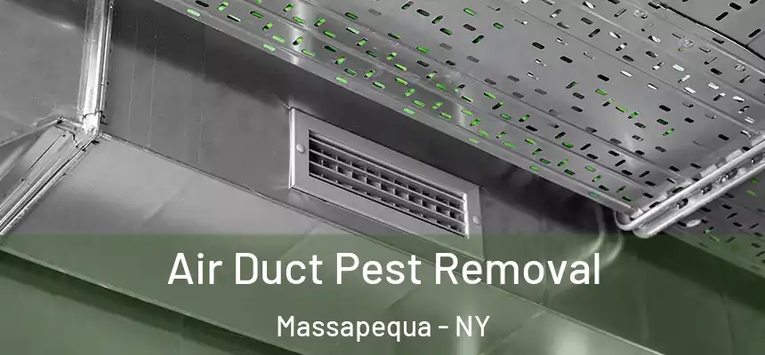  Air Duct Pest Removal Massapequa - NY
