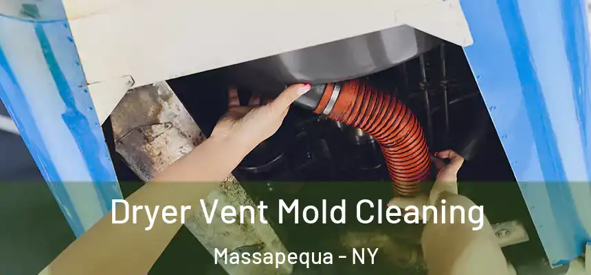  Dryer Vent Mold Cleaning Massapequa - NY