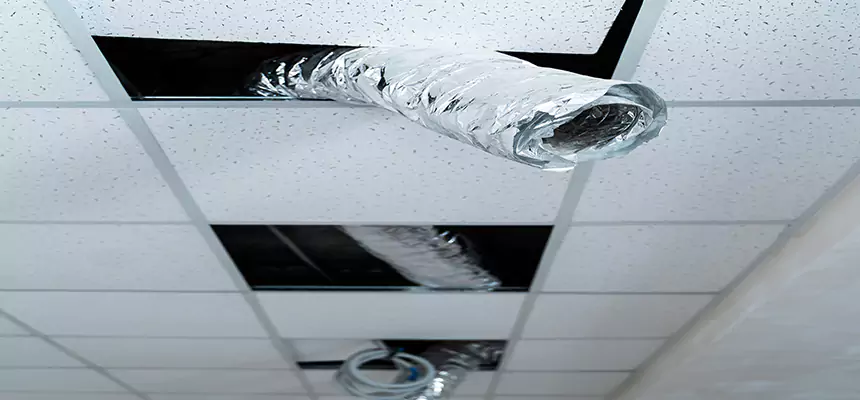 Our Air Duct Pet Hair Removal Services in Massapequa, NY