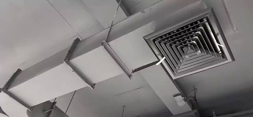 Restorative Allergy Relief Vent Cleaning – Coil, Blower & Housing Detail in Massapequa