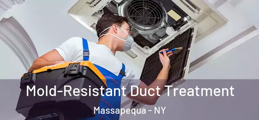  Mold-Resistant Duct Treatment Massapequa - NY