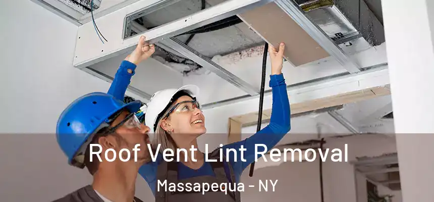  Roof Vent Lint Removal Massapequa - NY