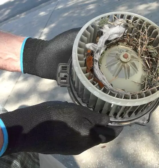 About Air Duct Mice Removal in Massapequa, NY