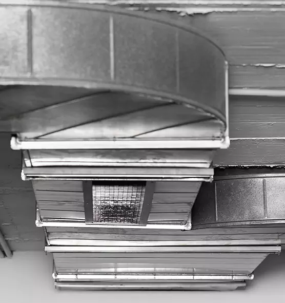 Professional Air Duct Pet Hair Removal in Massapequa, NY