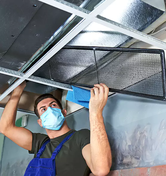 Professional Air Duct Pollen Cleaning in Massapequa, NY