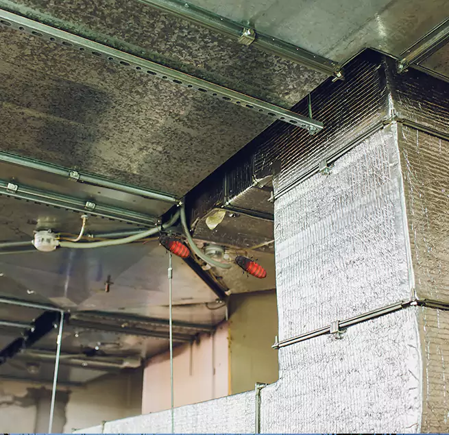 Why Homeowners & Businesses Trust Us in Massapequa, NY?