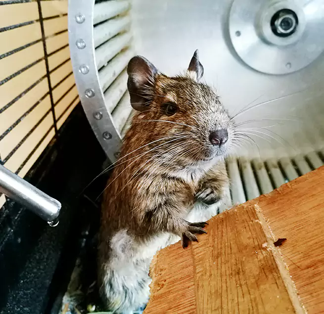 Why Homeowners & Businesses Trust Us Massapequa, NY