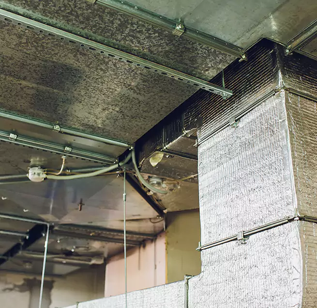 Why Homeowners & Businesses Trust Us in Massapequa, NY?